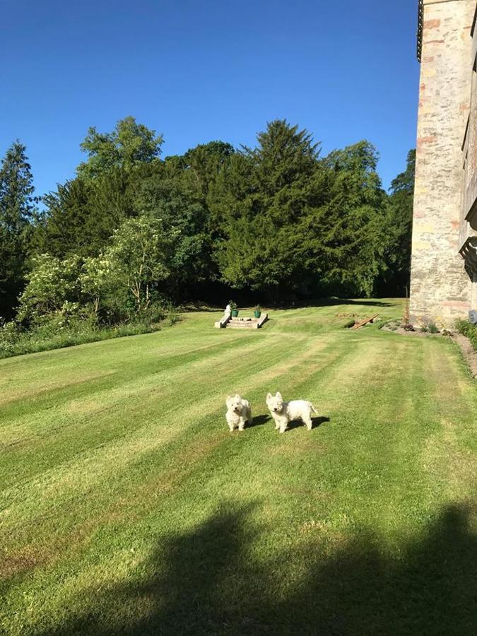 Bed and Breakfast Branxholme Castle Хоик Экстерьер фото